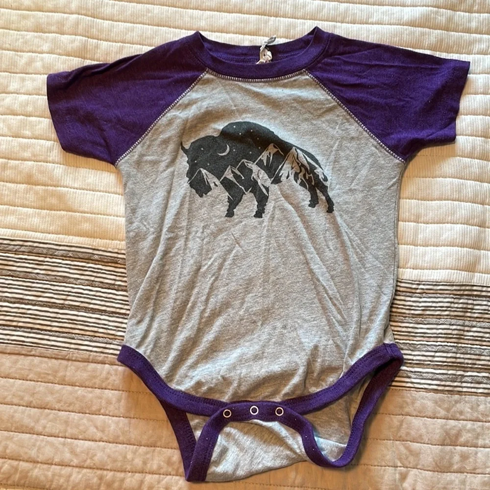 Set of 4 Boho Western Baby Onesies – Southwest Desert Animals Cactus – Size 24M